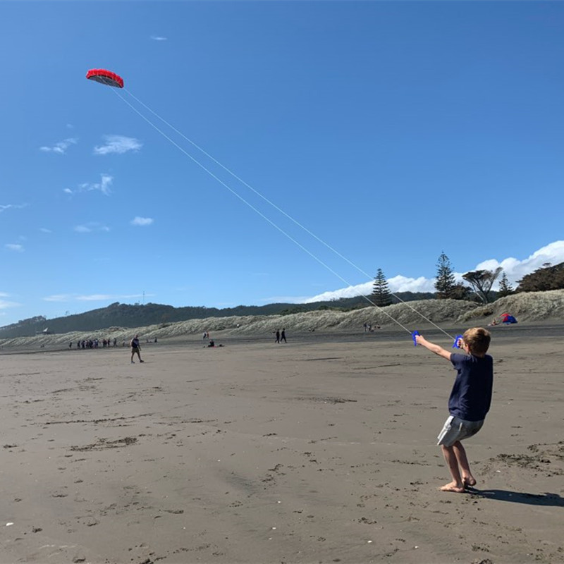 250cm New beginner kitesurf du - огляд і ціна Outdoor Power Line