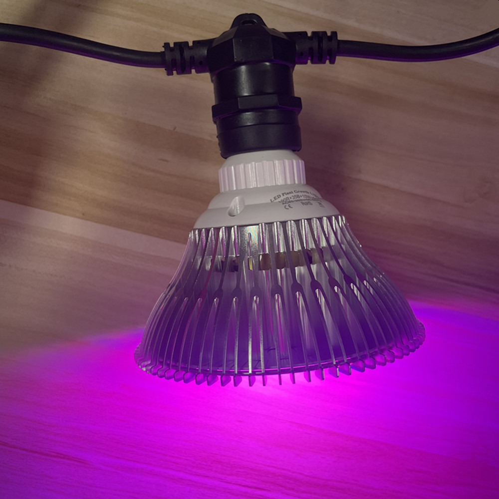 10M Cable LED String Commercia - огляд і ціна Outdoor Power Socket
